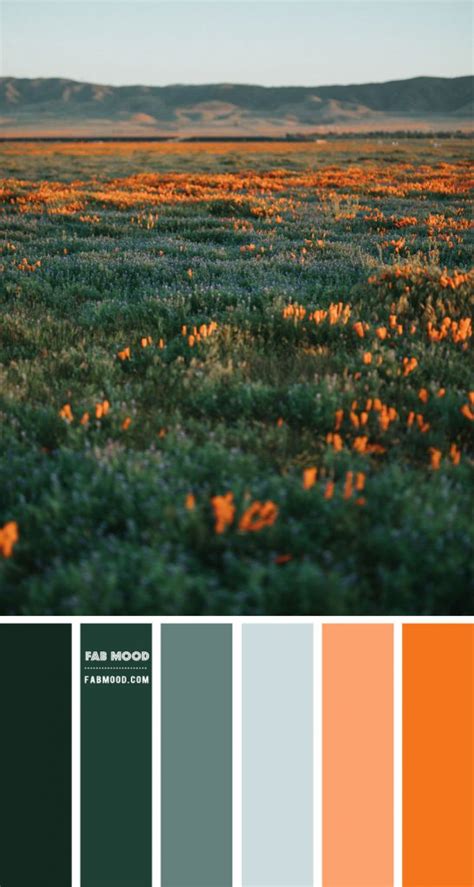 Blue Green And Orange Color Scheme Color Palette 57 1