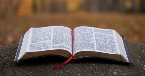 Quien Escribio La Biblia Y Como Leerla