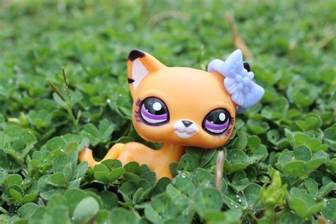 Lps Cat Photo Outside By Sophieagtv On Deviantart