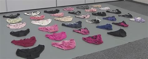 Tokyo Cop Dismissed After Arrest For Theft Of Womens Underwear The