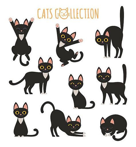 black cats collection ilustracao de arte vetorial cute black cats