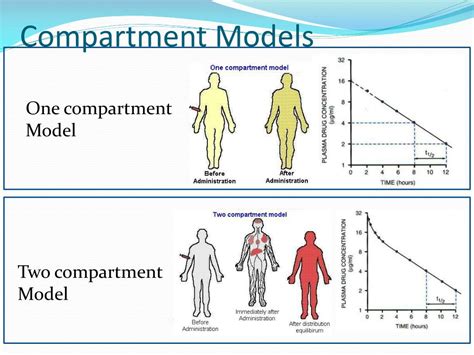 Ppt Compartment Models Powerpoint Presentation Free