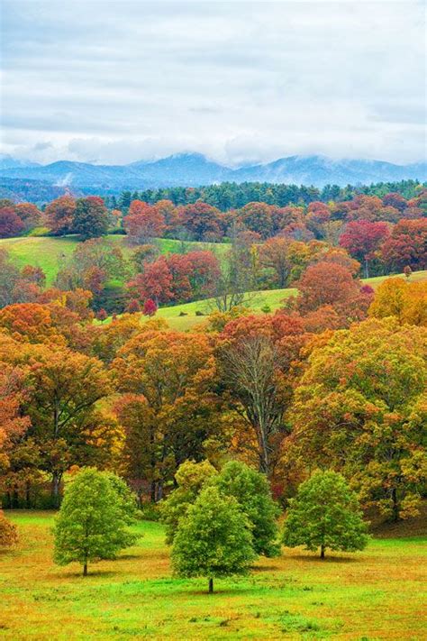 Are The Leaves Changing In Asheville Erin Whitworth