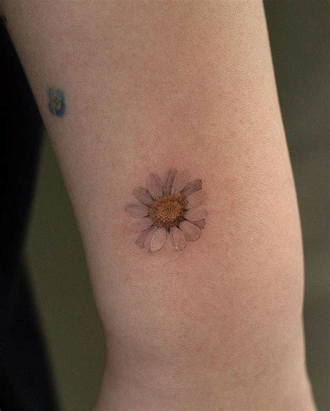 Top 107 Best Daisy Tattoos 2021 Inspiration Guide