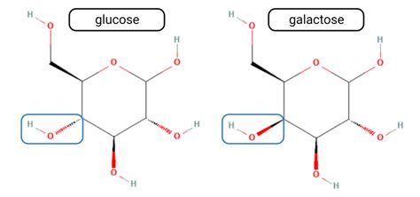Galactose Structure Diagram