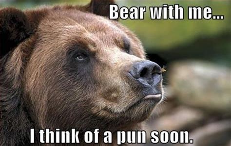 Unbearably Funny Bear Puns 🍀viraluck Memes Lol Bear Puns Funny