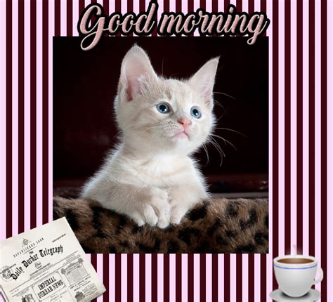 I know you were worried about today, but you will do just fine. Cat Wishes Good Morning. Free Good Morning eCards ...