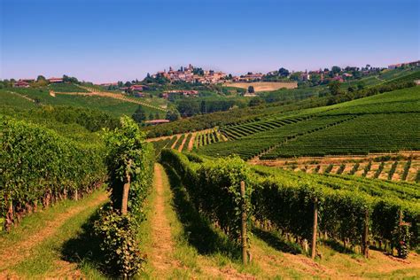 How To Plan A Trip To Piedmont Wine Region In Italy