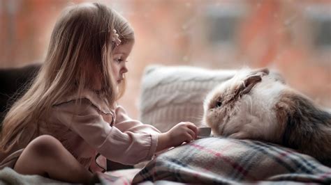 Cute Girl Playing With Rabbit Wallpapers Hd Wallpapers Id 27942