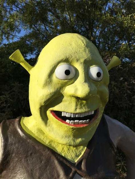 The Best 18 Shrek Meme Face Confused Nanoidshopesz
