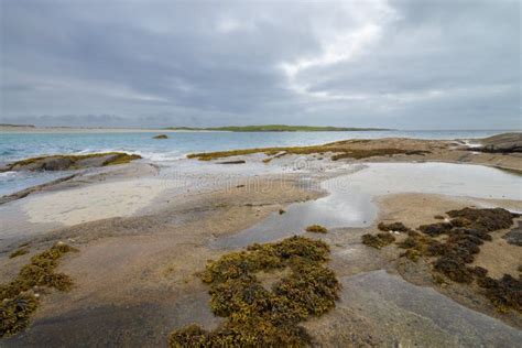 Glassilaun Beach And Sandstone Rocks With Alga At Low Tide Galway