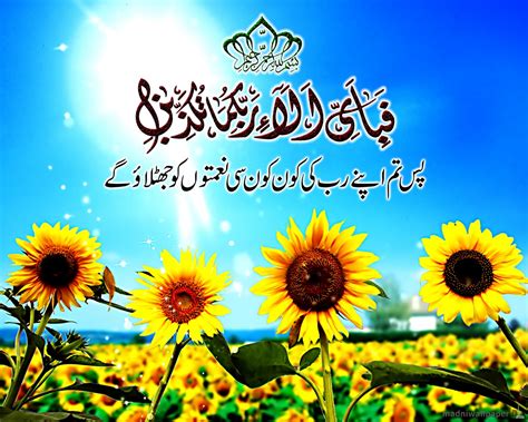 Holy quran wallpapers wallpaper cave. Surah Rahman Beautiful Verse Ayat Sun Flower Islamic ...