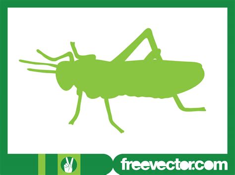 Grasshopper Silhouette Vector Art And Graphics
