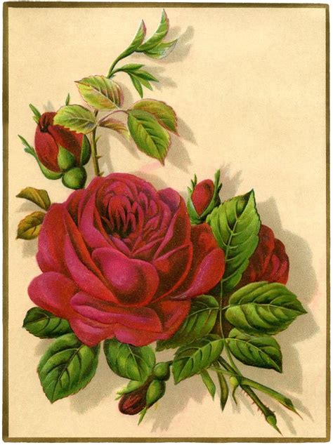 9 Red Rose Images Pictures And Printables Rose Art Red Roses