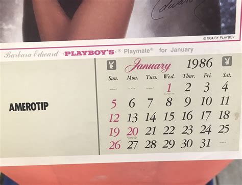 Playboy Plamates Calendar Ebay