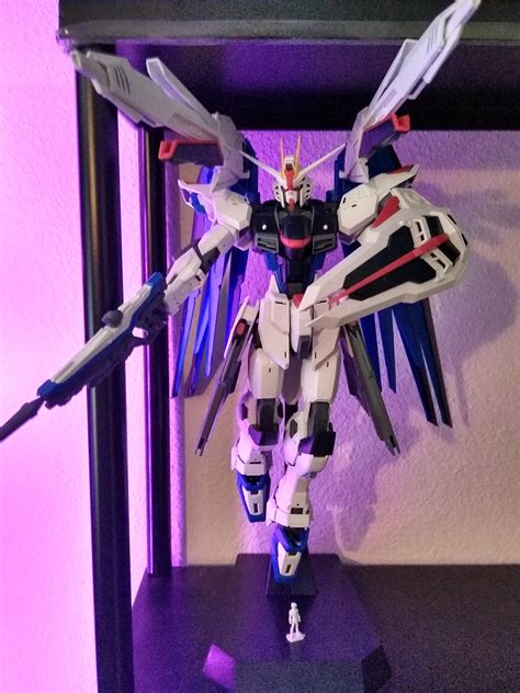 Mg Freedom Gundam Ver 20 First Time I Built A Gunpla Without Seeing