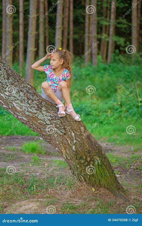Little Girl Climbed On Tree Stock Photo Image Of Climbing Floral