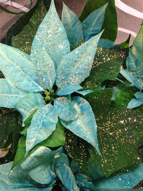 White Poinsettias Spray Painted Teal And Covered In Gold Glitter