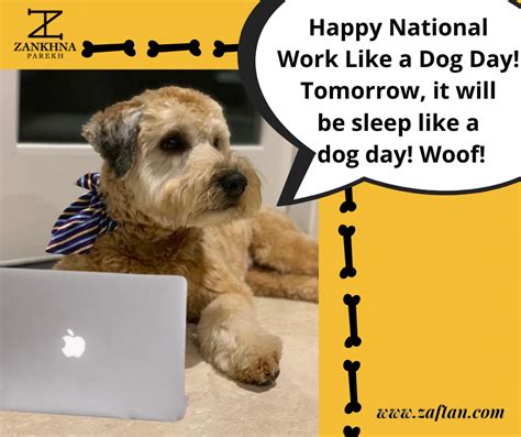 Happy National Work Like A Dog Day Life Lessons Dog Days Dogs