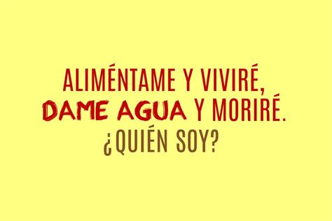Los ejercicios para las piernas suelen ser los favoritos para las mujeres, no así para los hombres (seguro que habéis visto la sala del gimnasio repleta de chicas ejercitando las piernas, y la. ¿Puedes resolver estos difíciles acertijos? | Acertijos ...