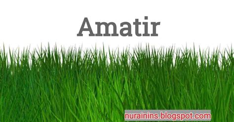 Latihan bahasa melayu (kata bilangan). Lawan Kata Amatir