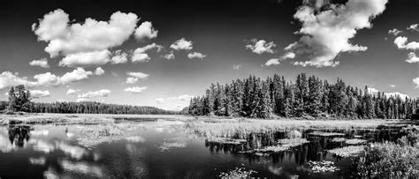 Monochrome Mirror Lake Reflections Of Clouds And Forest Landscape