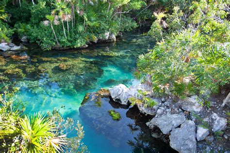 Cenotes Of Mexico Unexplored Water Bodies You Must Visit