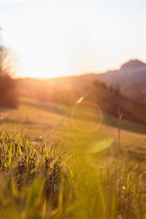 Sunlight Sun Rays On Green Grass Field Light Image Free Stock Photo