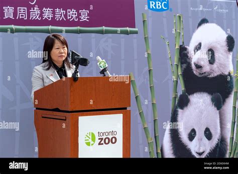 Panda toronto zoo hi-res stock photography and images - Alamy