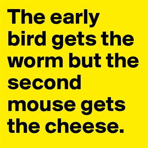 The story starts in the house of the blackbird family. The early bird gets the worm but the second mouse gets the ...