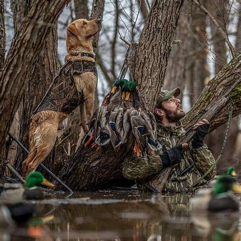 Duck Hunting Waterfowl Migration Ducks Unlimited