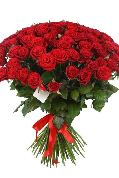Your wedding bouquet merges tradition and style, creating a beautiful accent piece that you can hold with confidence on your big day. Huge bouquet of beautiful red roses on white background # ...