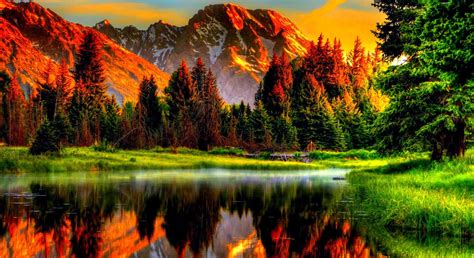 Download beautiful scenery wallpapers | Beautiful scenery pictures, Beautiful scenery wallpaper ...