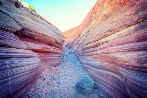 Path Through Pink Canyon 2 Photograph By Joseph S Giacalone Fine Art
