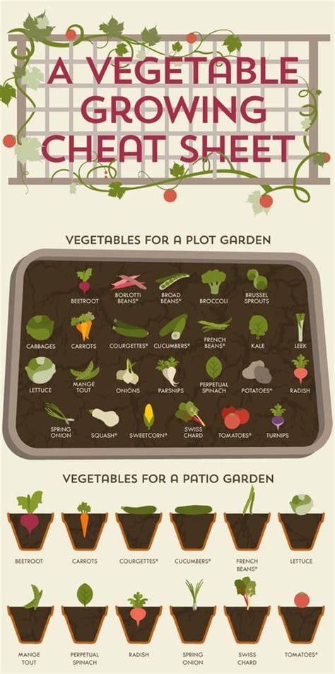The Ultimate Vegetable Gardening Guide In Handy Infographic Form