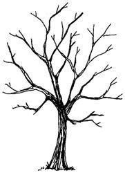 Leafless tree icon in different style vector illustration. {art} on Pinterest | 85 Pins | Tree outline, Art ...