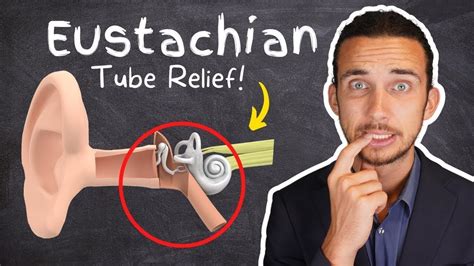 Eustachian Tube Dysfunction Causes And Treatments Youtube