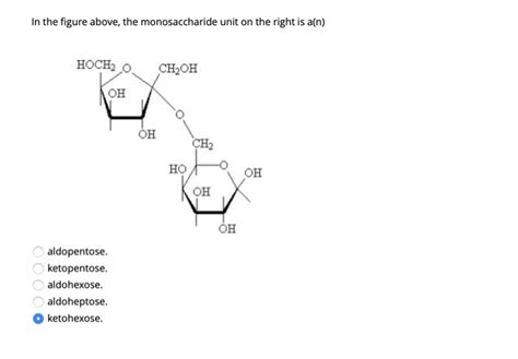 Solved In The Figure Above The Monosaccharide Unit On The