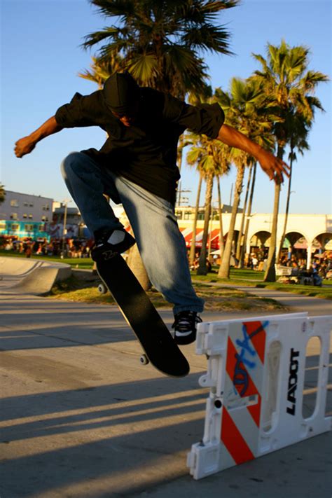 California Palm Trees And Skate Image 160242 On