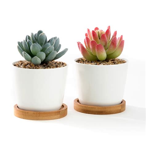 35 White Oval Ceramic Succulent Plant Potcactus Plant Pot With