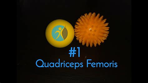 Massage Ball 1 Quadriceps Femoris Muscle Quads Youtube