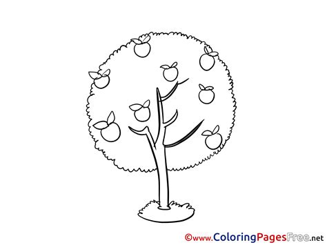 This particullar coloring sheet dimension is around 600 pixel x 811 pixel with approximate file size for around 126.04 kilobytes. Harvest Apple printable Coloring Pages for free