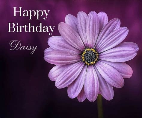 Happy Birthday Daisy