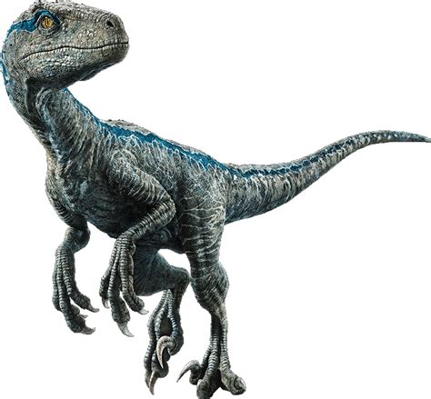 Download Velociraptor Jurassic World El Reino Caído Dinosaurios Full Size Png Image Pngkit