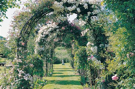 Arch Flowers Garden Greenery Path Image 188272 On