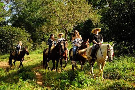 Passeio A Cavalo Loja Exemplo