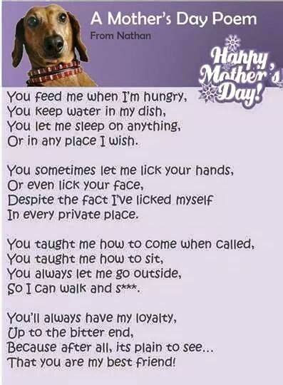 Mothers Day Poem For Dog Moms Doxie Mom Pet Mom Dachshund Love