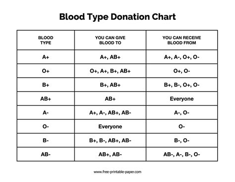 Blood Type Donation Chart Free Printable