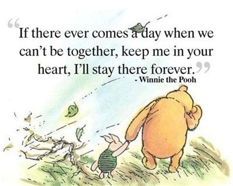 Winnie The Pooh On Death Or Separation