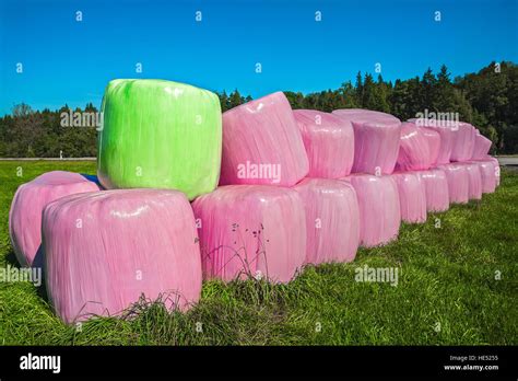 Pink Silage Bales Hi Res Stock Photography And Images Alamy